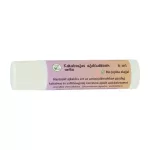 Eco-Z Kakaóvajas ajakbalzsam (vaníliás) 6ml