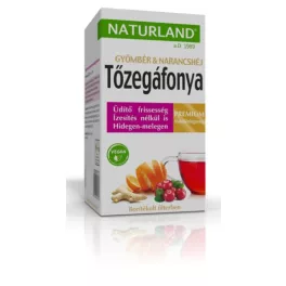   Naturland Premium Ovocný čaj s brusinkami, zázvorem a pomerančovou kůrou 20 x 2 g